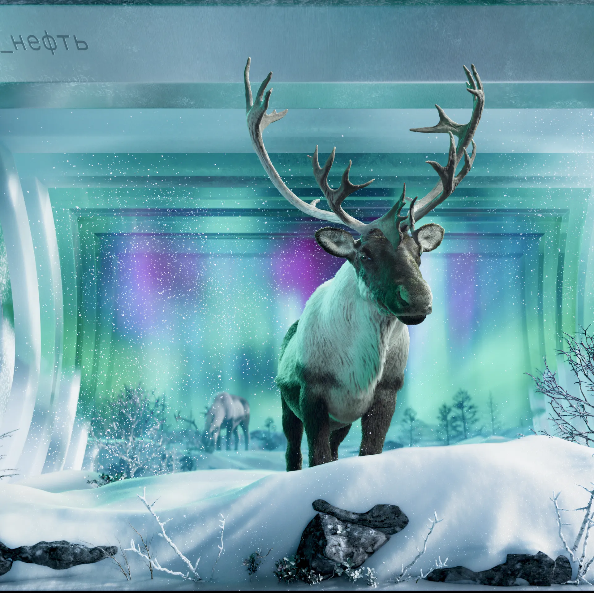 Revealing Tundra