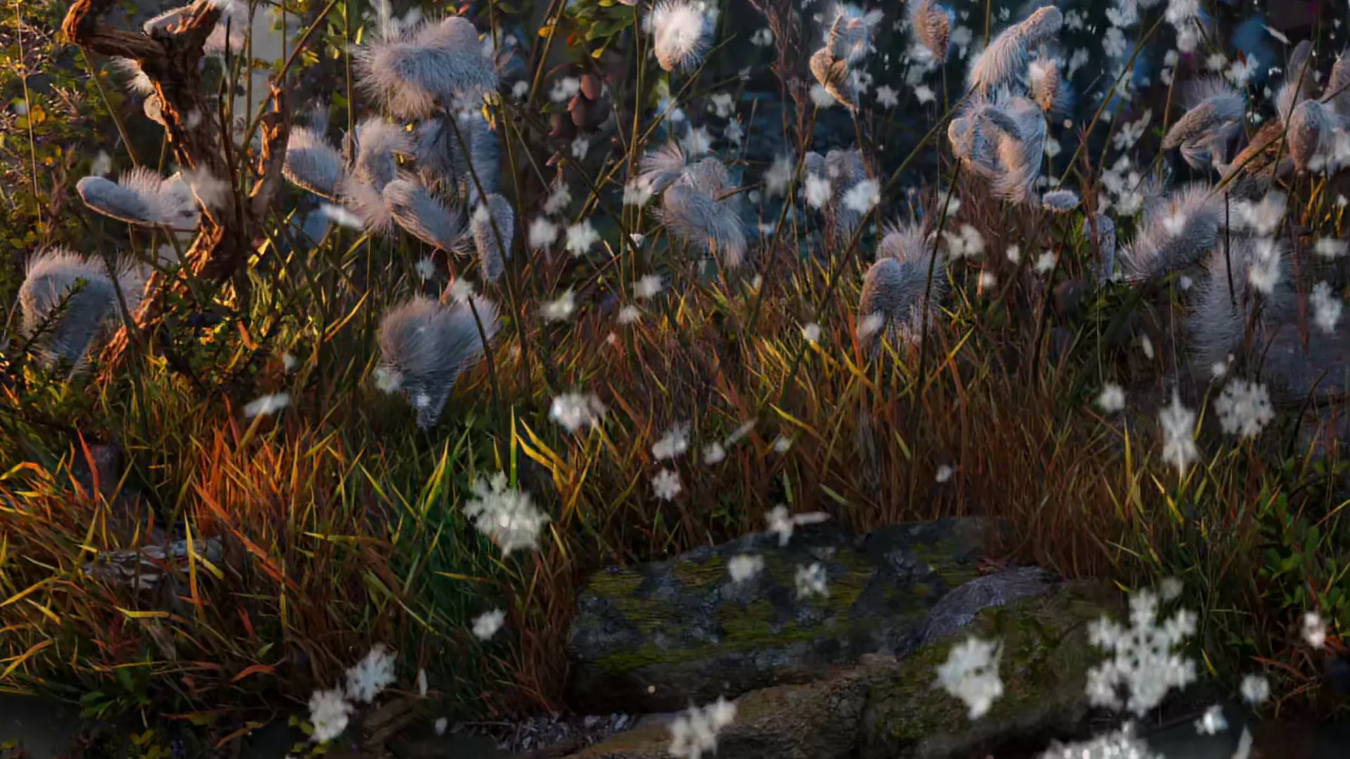 Revealing Tundra