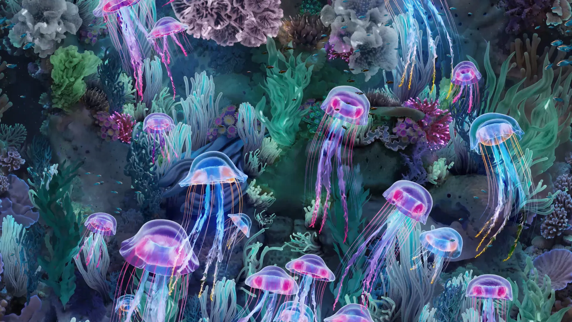 Wonders of the Sea
