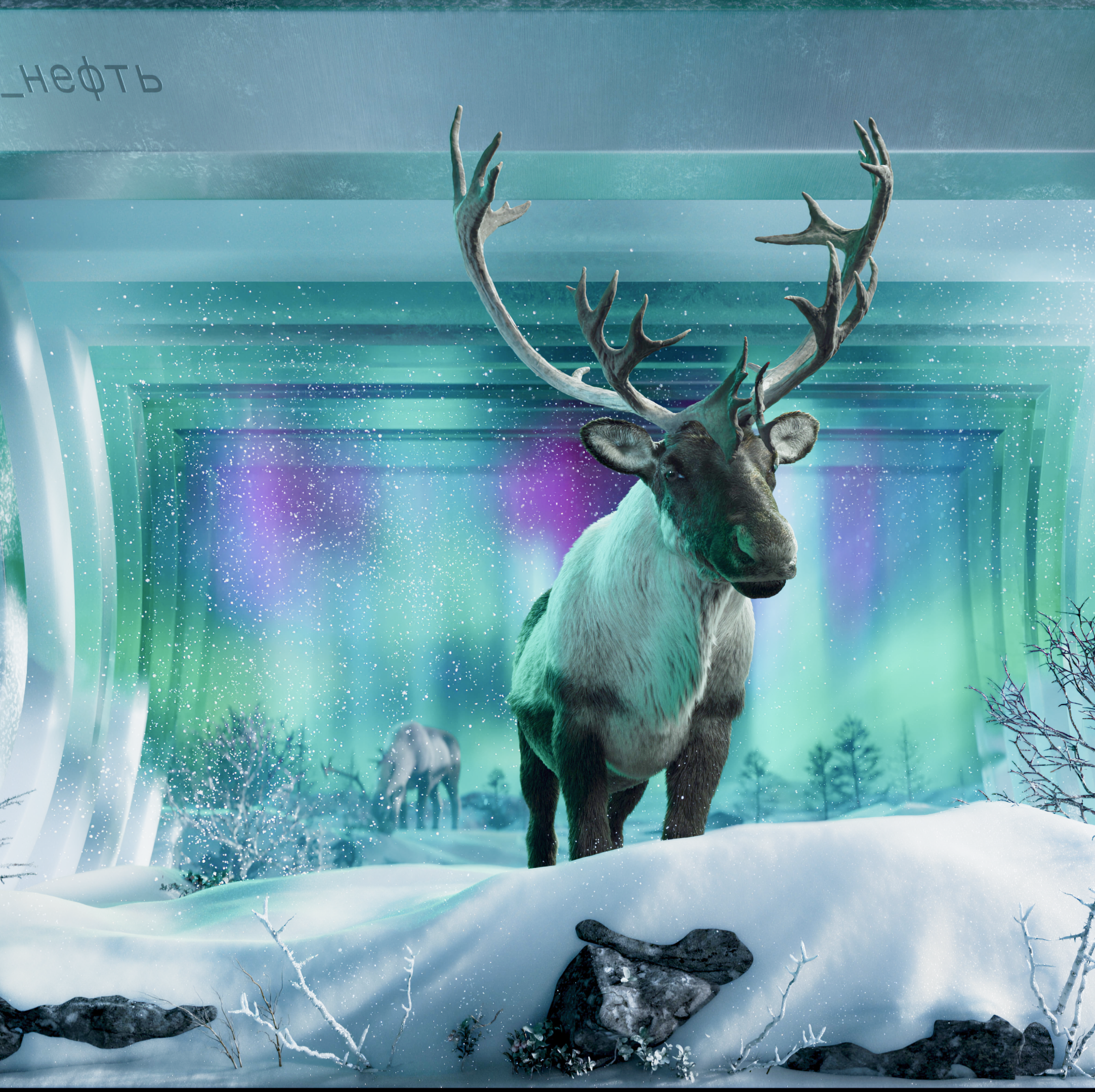 Revealing Tundra