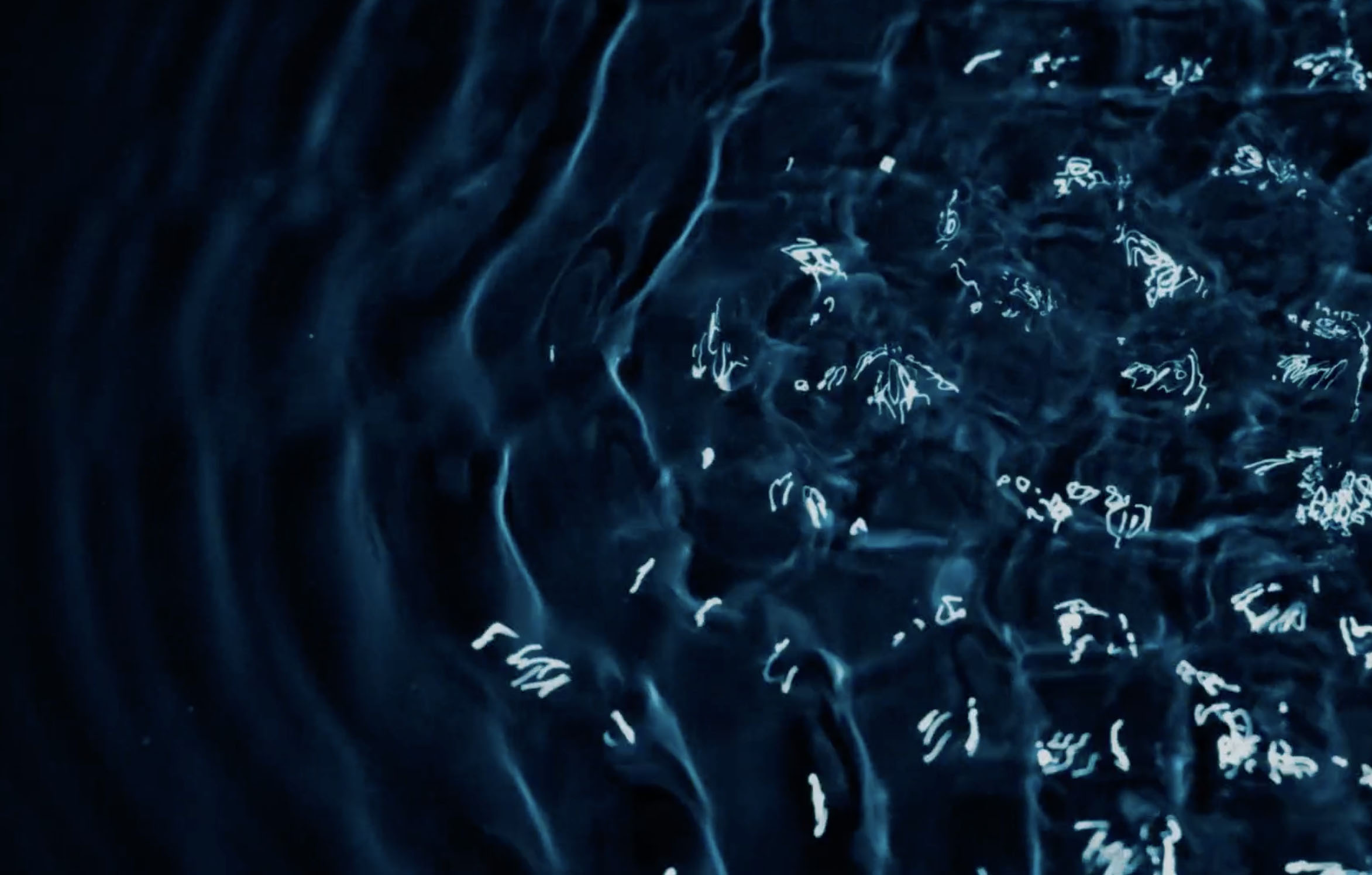 Analog Visuals