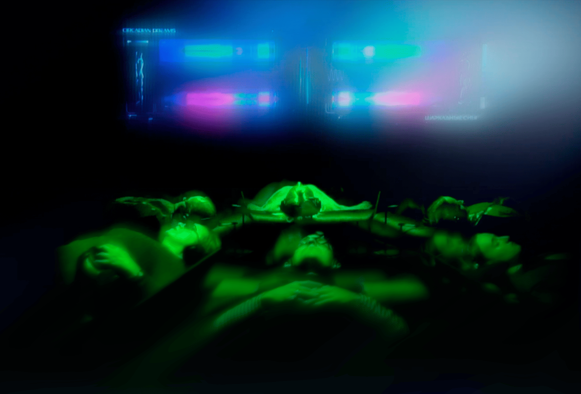 Circadian dreams